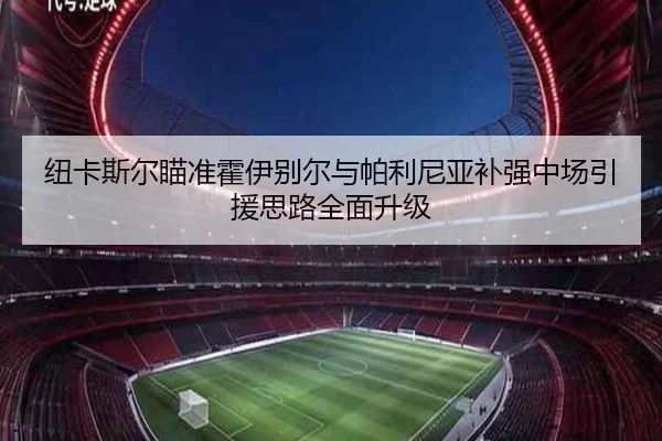 纽卡斯尔瞄准霍伊别尔与帕利尼亚补强中场引援思路全面升级